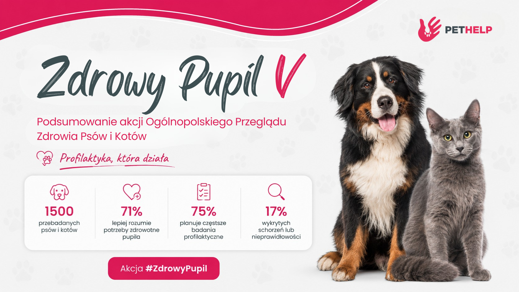 Zdrowy pies i kot — akcja Zdrowy Pupil