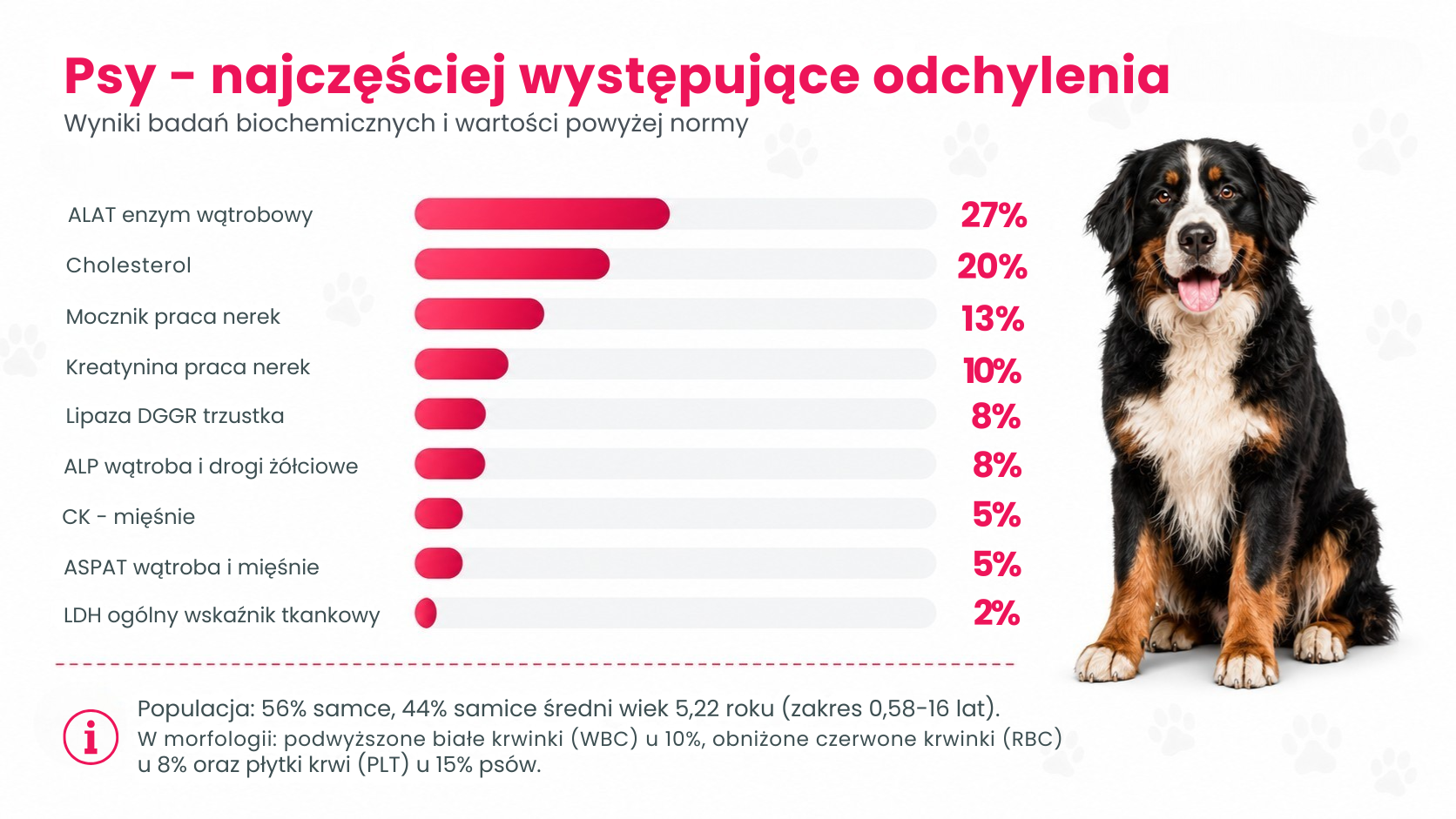 Psy — parametry krwi powyżej normy (procenty)
