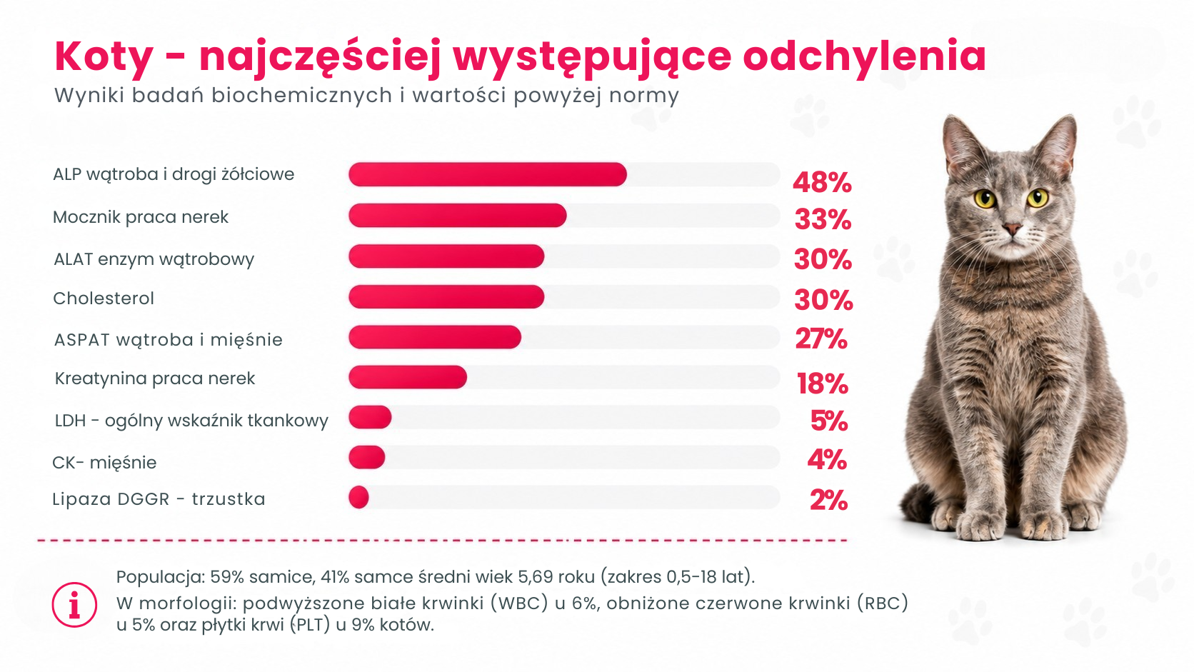 Koty — parametry krwi powyżej normy (procenty)