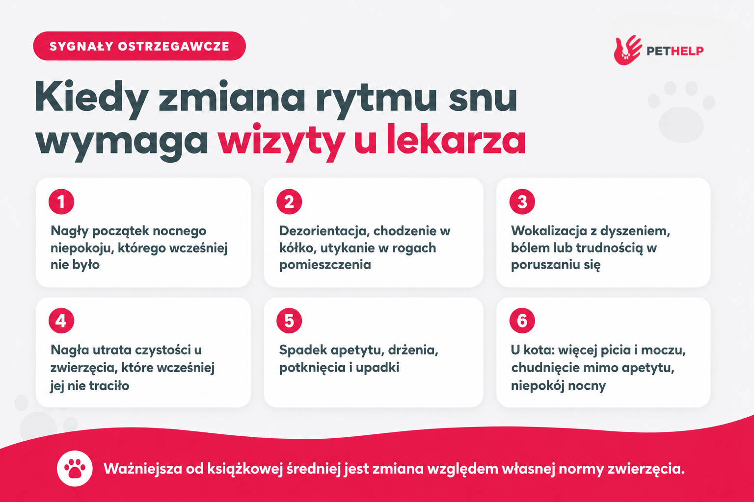Czerwone flagi: kiedy zmiana rytmu snu psa i kota wymaga wizyty u lekarza weterynarii