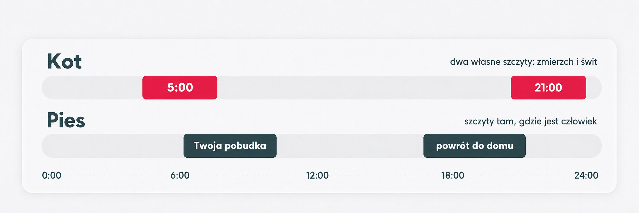 Rytm dobowy psa i kota na osi 24 godzin: kot ma szczyty aktywności około 5:00 i 21:00, pies około godziny pobudki opiekuna i jego powrotu do domu